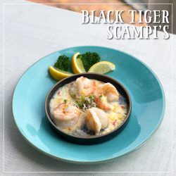 black-tiger-social-media.jpg
