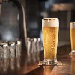 pilsener1